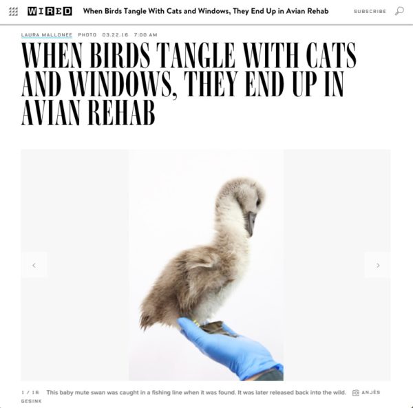 Artikel over de Vogelklas in Wired Magazine
